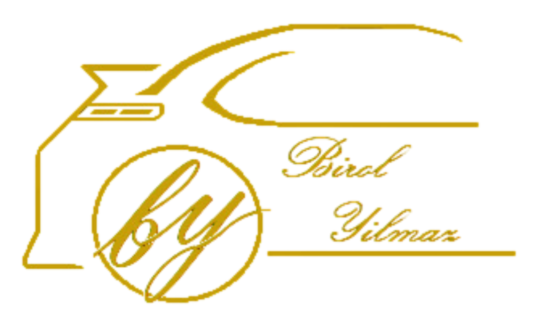 BY Ingenieurbüro Logo